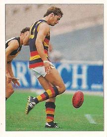 1994 Select AFL Stickers #16 David Pittman Front
